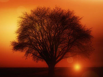 1608876472121903.jpg 3.jpg