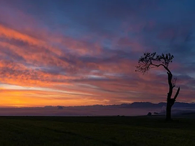 1608876604107353.jpg 1608876604107353.jpg